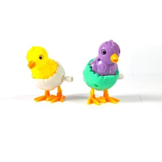 POLLITO QUE CAMINA EN HUEVO (24 uds.)