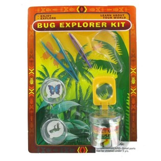 SET DE CIENCIA DE INSECTOS (6 uds.)