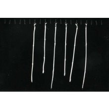 1368033892