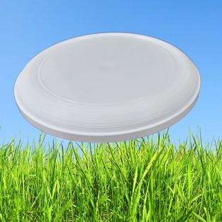 FRISBEE ESTÁNDAR 21 CM (Pack de 25)