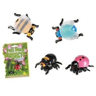 Insectos de Fricci&oacute;n en Tarjeta (24 uds.)